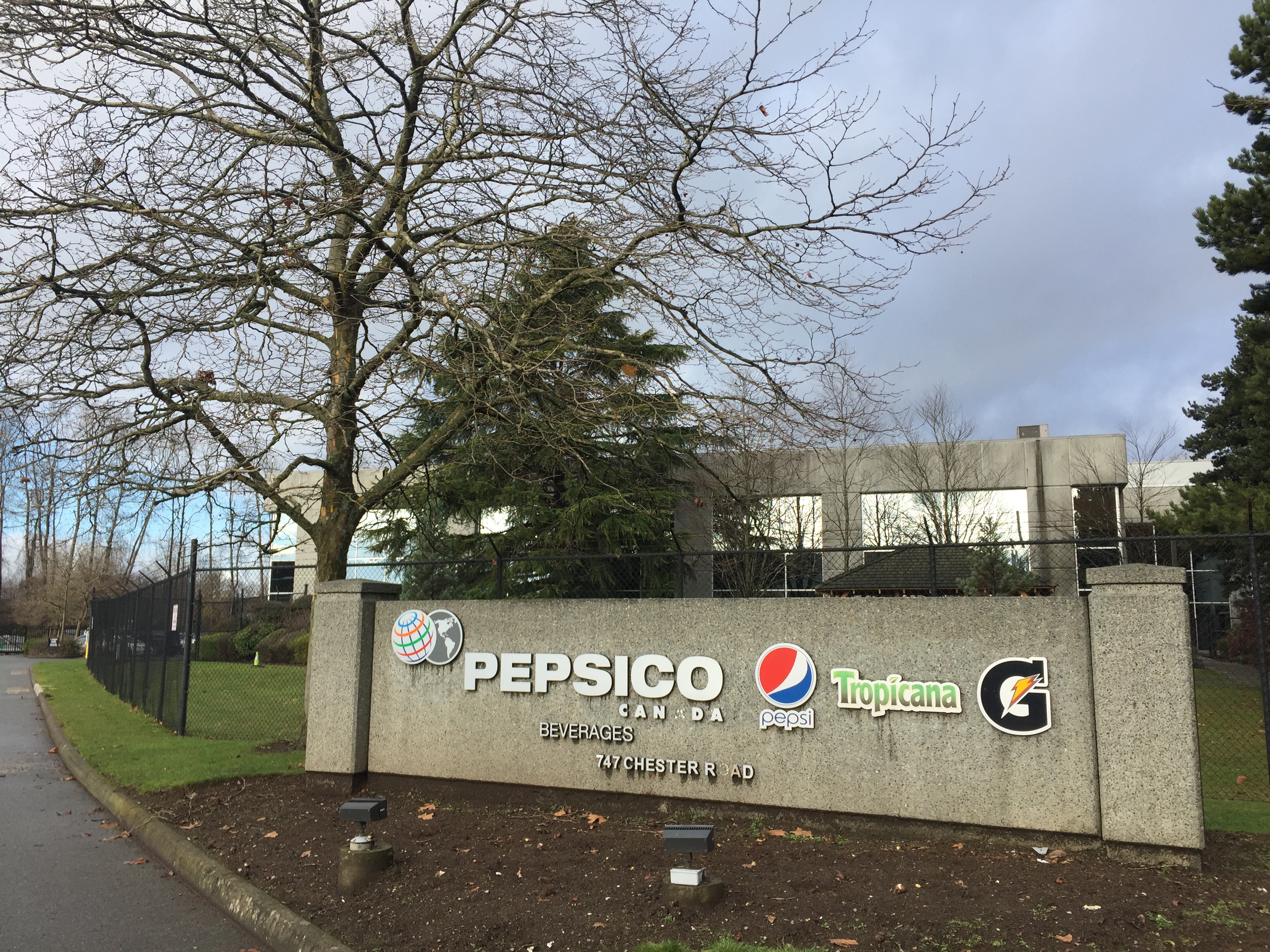 Working at PepsiCo: How to Excel as a Small Fish in a Big Pond | Experience  Beedie